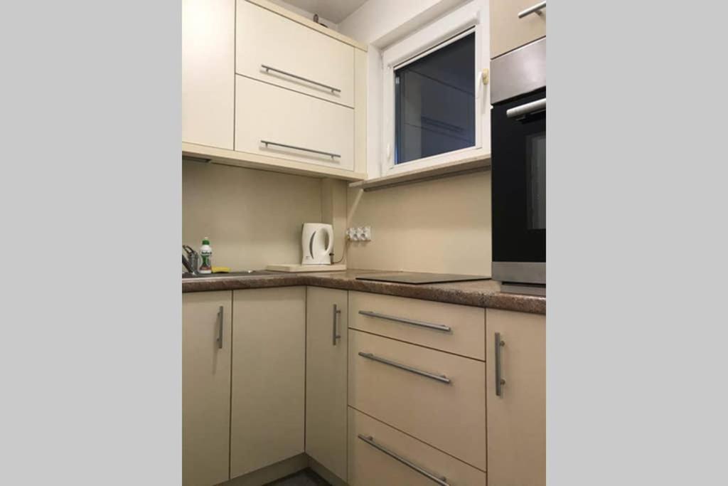 Kameralny Apartament Tuz Przy Krupowkach 扎科帕内 外观 照片